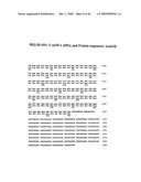 Methods of treating cartilage defects using a soluble morphogenic protein complex diagram and image