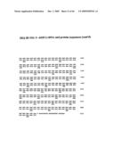 Methods of treating cartilage defects using a soluble morphogenic protein complex diagram and image