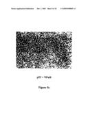 Materials and Methods Relating to the Induction of Apoptosis in Target Cells diagram and image