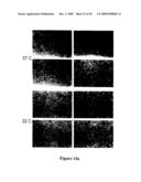 Materials and Methods Relating to the Induction of Apoptosis in Target Cells diagram and image