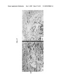 Crystalline pharmaceutical and methods of preparation and use thereof diagram and image