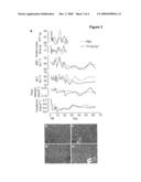 Pharmaceutical compositions for treatment of microRNA related diseases diagram and image