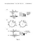 Alternative Splicing Isoform of Lox-I Protein Encoding Gene, and Uses Thereof diagram and image