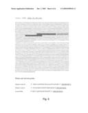 Alternative Splicing Isoform of Lox-I Protein Encoding Gene, and Uses Thereof diagram and image