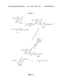 COMPOUNDS AND METHODS FOR LABELING OLIGONUCLEOTIDES diagram and image