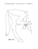 EQUINE LOCOMOTOR FLEXION ALGOMETRY DEVICE (ELFA) diagram and image