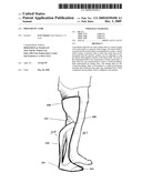 PROSTHETIC LIMB diagram and image