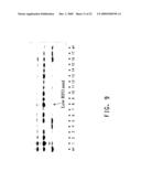 PLANT GALACTINOL SYNTHASE HOMOLOGS diagram and image