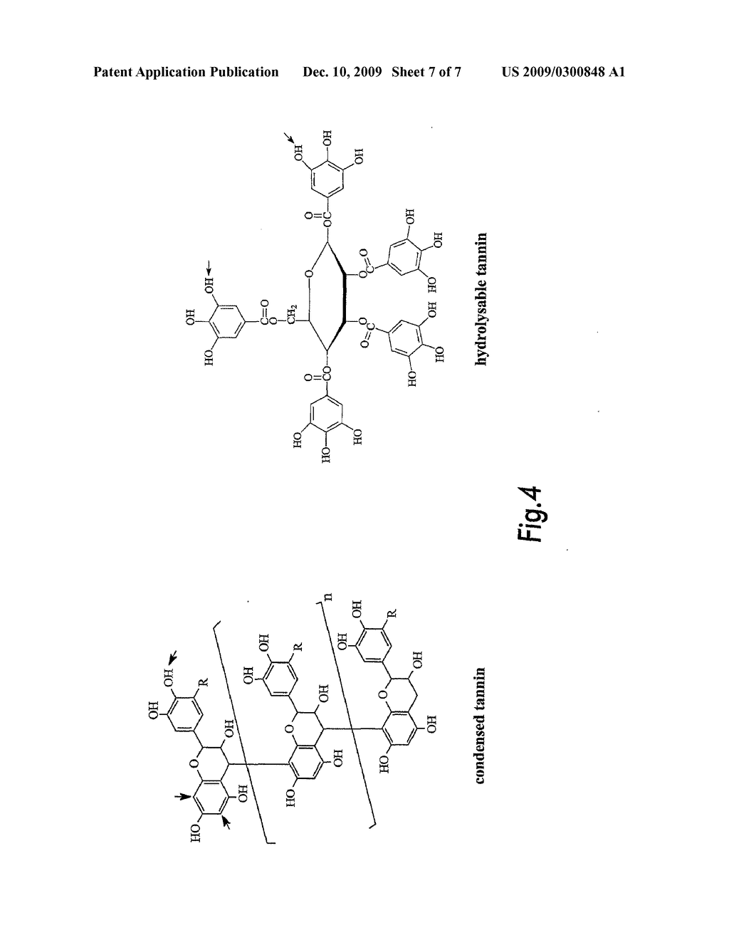 EPOXIDE-BASED TANNAGE SYSTEM - diagram, schematic, and image 08