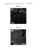 SELECTIVE PLACEMENT OF CARBON NANOTUBES THROUGH FUNCTIONALIZATION diagram and image