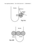 METHOD AND SYSTEM FOR CONCENTRATING PARTICLES FROM A SOLUTION diagram and image