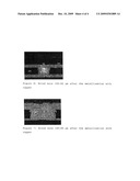 Electrolytic Method For Filling Holes and Cavities With Metals diagram and image