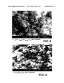 Garnet UV Phosphor and Scintillator Materials Preparation and Use in Radiation Detection diagram and image