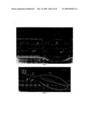 Resonant Linearly Polarized Body Current Sensor diagram and image