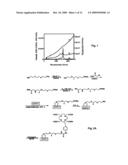 Single wall nanotube constructs and uses therefor diagram and image