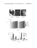 Single wall nanotube constructs and uses therefor diagram and image