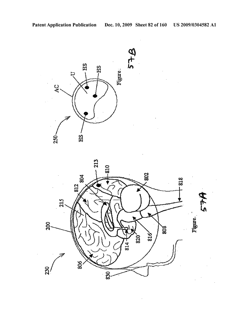 Imaging Protocols - diagram, schematic, and image 83