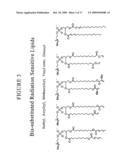 RADIATION SENSITIVE LIPOSOMES diagram and image