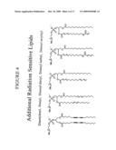 RADIATION SENSITIVE LIPOSOMES diagram and image