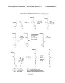 RADIATION SENSITIVE LIPOSOMES diagram and image