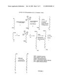 RADIATION SENSITIVE LIPOSOMES diagram and image