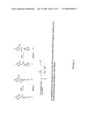 RADIATION SENSITIVE LIPOSOMES diagram and image