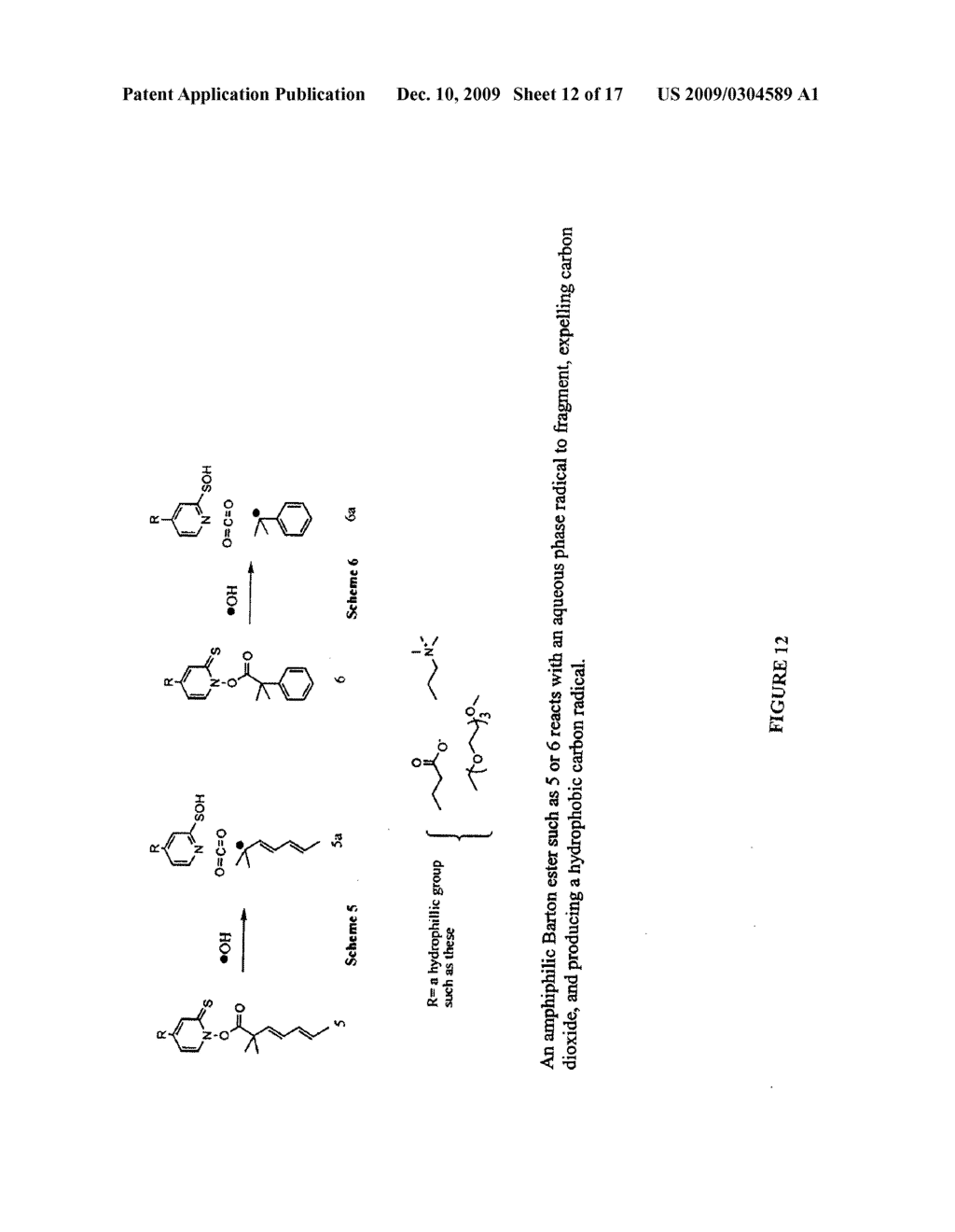 RADIATION SENSITIVE LIPOSOMES - diagram, schematic, and image 13