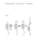 RADIATION SENSITIVE LIPOSOMES diagram and image