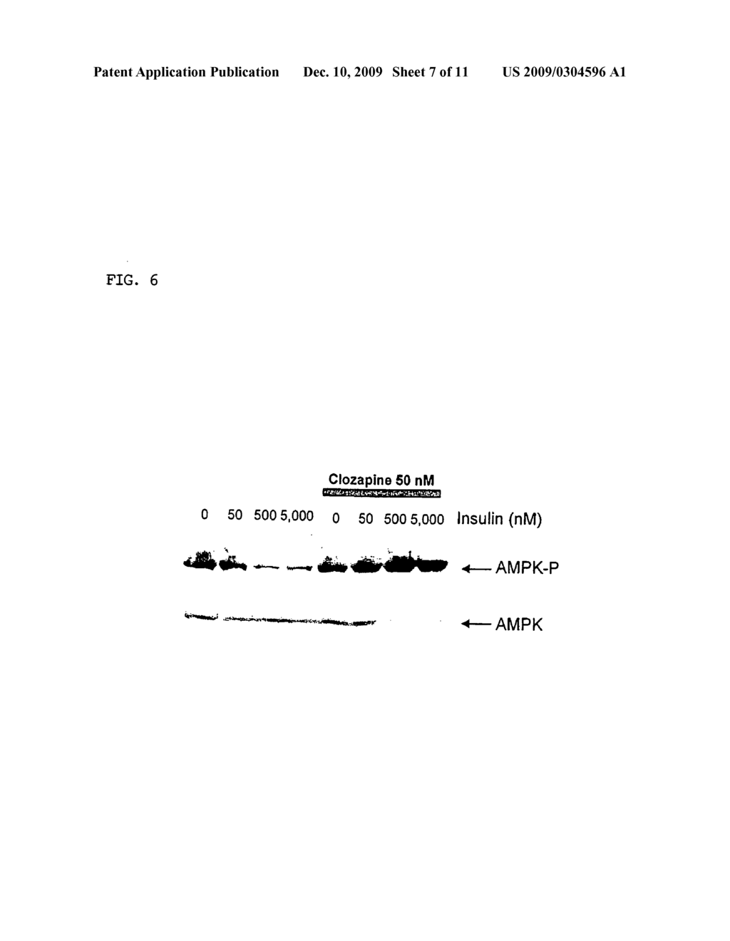 Methods for Predicting Psychotropic Drugs Which Elicit Weight Gain - diagram, schematic, and image 08