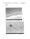 Protein Nanoparticles and the Use of the Same diagram and image