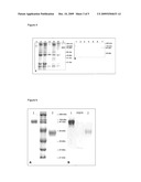 CHIMERIC VACCINE ANTIGENS AGAINST CLASSICAL SWINE FEVER VIRUS diagram and image