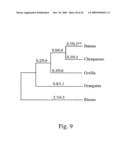 METHODS TO IDENTIFY POLYNUCLEOTIDE AND POLYPEPTIDE SEQUENCES WHICH MAY BE ASSOCIATED WITH PHYSIOLOGICAL AND MEDICAL CONDITIONS diagram and image