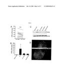 METHODS FOR TREATING DISEASE BY REGULATING CLL CELL SURVIVAL diagram and image