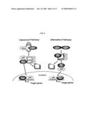 METHODS FOR TREATING DISEASE BY REGULATING CLL CELL SURVIVAL diagram and image