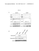 METHODS FOR TREATING DISEASE BY REGULATING CLL CELL SURVIVAL diagram and image