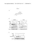 METHODS FOR TREATING DISEASE BY REGULATING CLL CELL SURVIVAL diagram and image