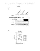 METHODS FOR TREATING DISEASE BY REGULATING CLL CELL SURVIVAL diagram and image