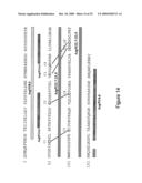 BINDING AGENTS diagram and image