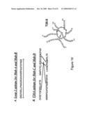 BINDING AGENTS diagram and image