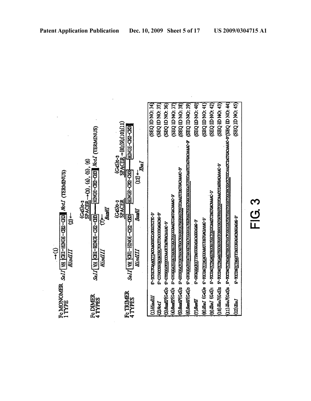 MODIFIED ANTIBODIES WITH ENHANCED BIOLOGICAL ACTIVITIES - diagram, schematic, and image 06