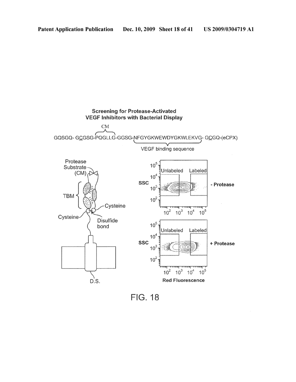 ACTIVATABLE BINDING POLYPEPTIDES AND METHODS OF IDENTIFICATION AND USE THEREOF - diagram, schematic, and image 19