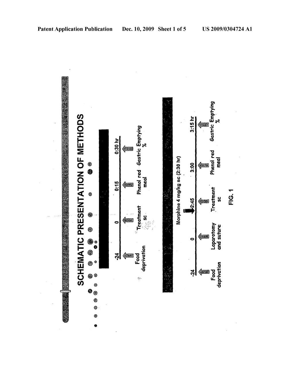 Compositions and Methods for Stimulating Gastrointestinal Motility - diagram, schematic, and image 02