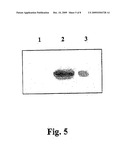 TEM8 GENE, EXPRESSION FORMS AND DIAGNOSTIC AND THERAPEUTIC USES THEREOF diagram and image