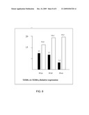 TEM8 GENE, EXPRESSION FORMS AND DIAGNOSTIC AND THERAPEUTIC USES THEREOF diagram and image