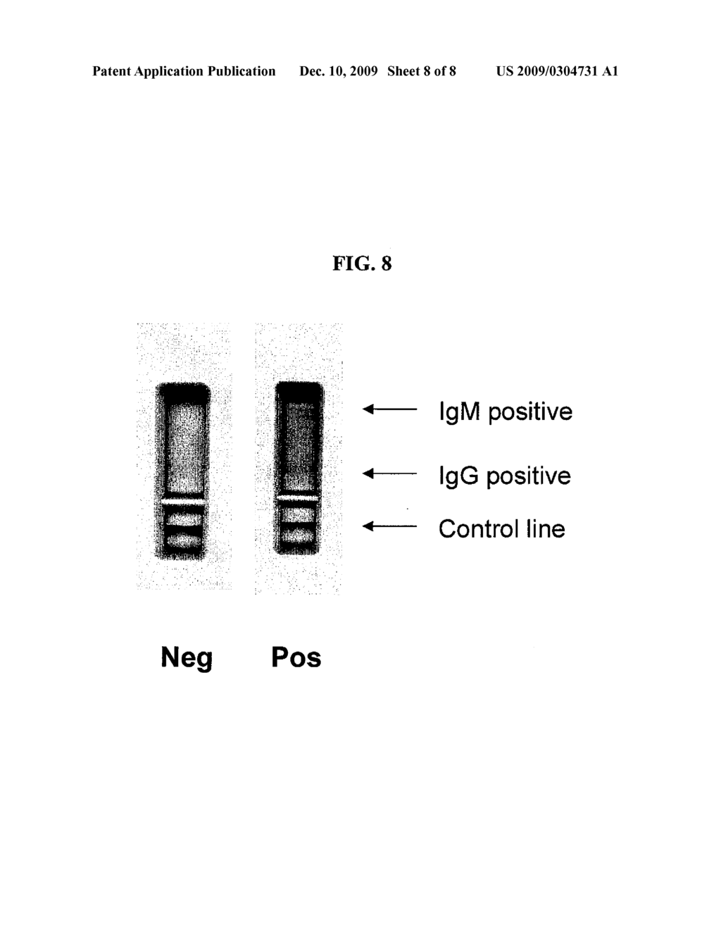 RECOMBINANT ANTIGENS FOR DIAGNOSIS AND PREVENTION OF SPOTTED FEVER RICKETTSIAE - diagram, schematic, and image 09