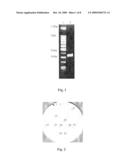 Vaccine comprising recombinant ct or lt toxin diagram and image