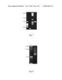 Vaccine comprising recombinant ct or lt toxin diagram and image