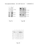 Vaccine comprising recombinant ct or lt toxin diagram and image