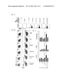 Methods for Enhancing Immune Responses diagram and image