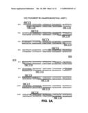 CHIMERIC ALPHAVIRUS REPLICON PARTICLES diagram and image